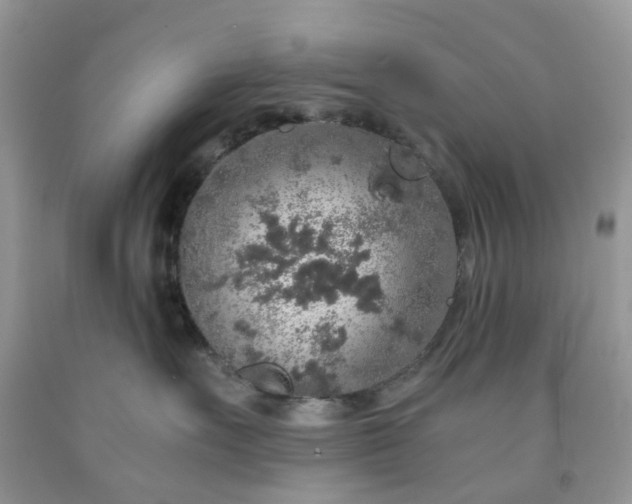 X0000091680527200709061107