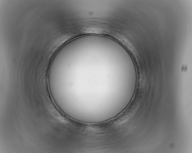 X0000091680529200709061106