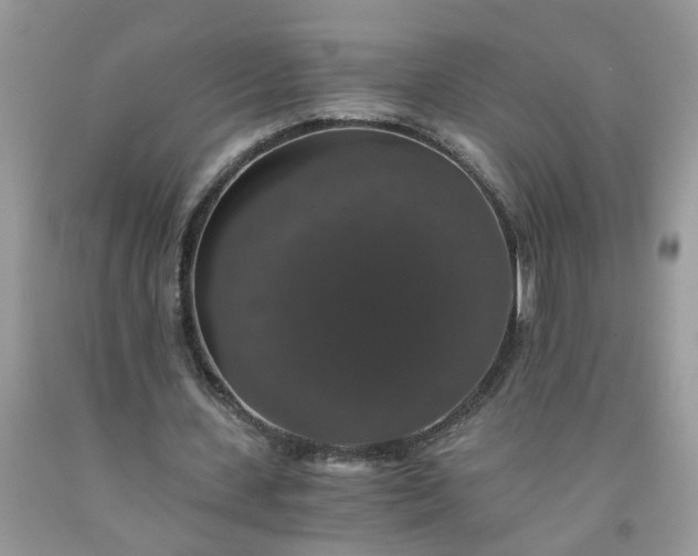 X0000091680531200709061106