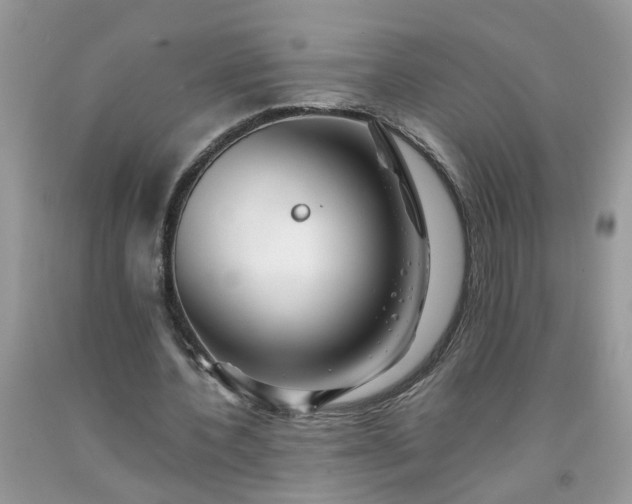 X0000091680532200709061106