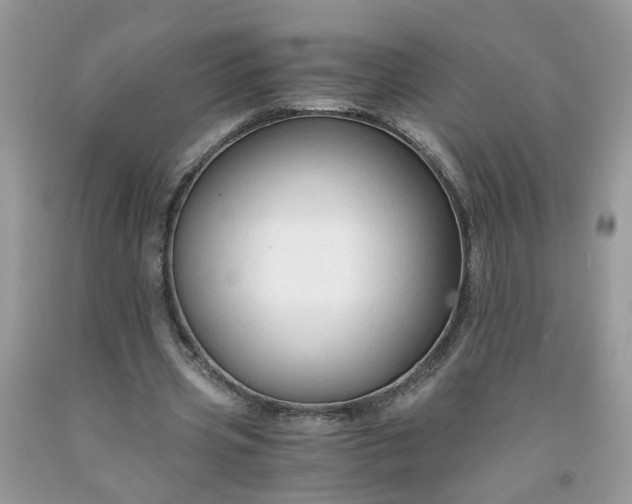 X0000091680533200709061106