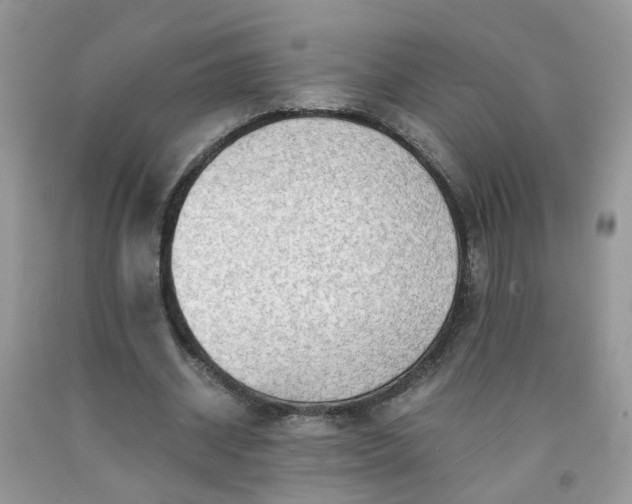 X0000091680534200709061106