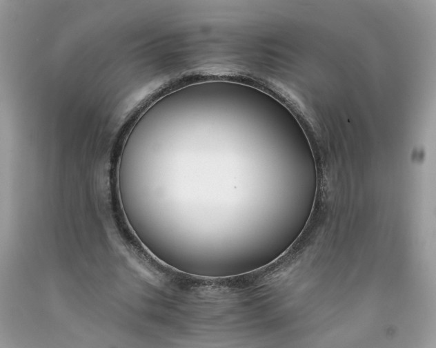 X0000091680535200709061106