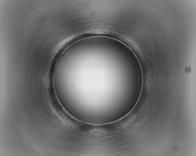 X0000091680536200709061106