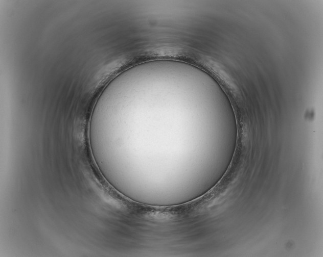 X0000091680537200709061106