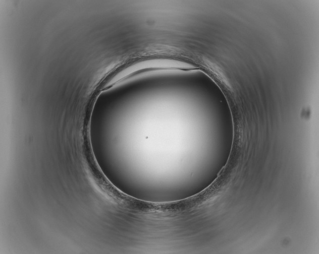 X0000091680538200709061106