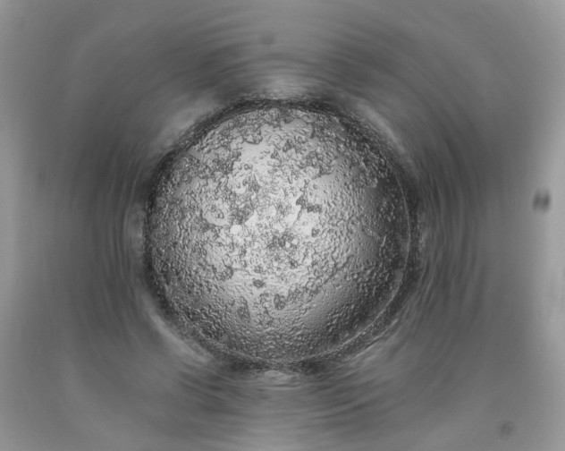 X0000091680542200709061106