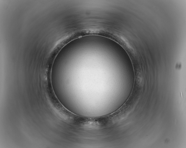 X0000091680543200709061106
