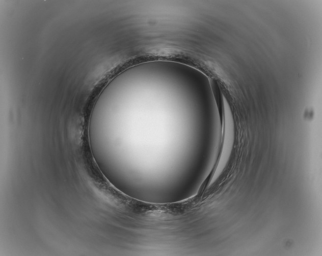 X0000091680544200709061106