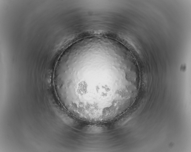 X0000091680545200709061106
