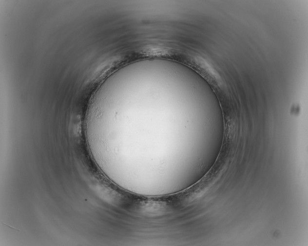 X0000091680549200709061106