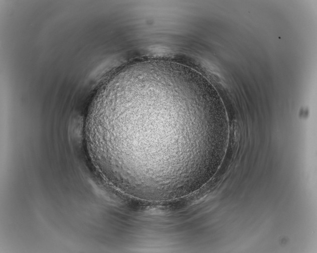 X0000091680550200709061106