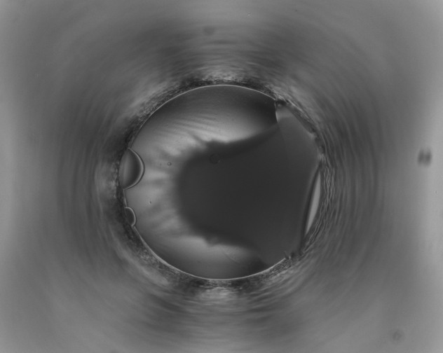 X0000091680551200709061106