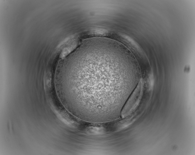 X0000091680552200709061106