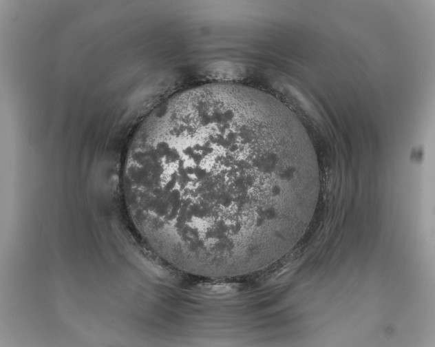X0000091680553200709061106