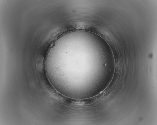 X0000091680554200709061106