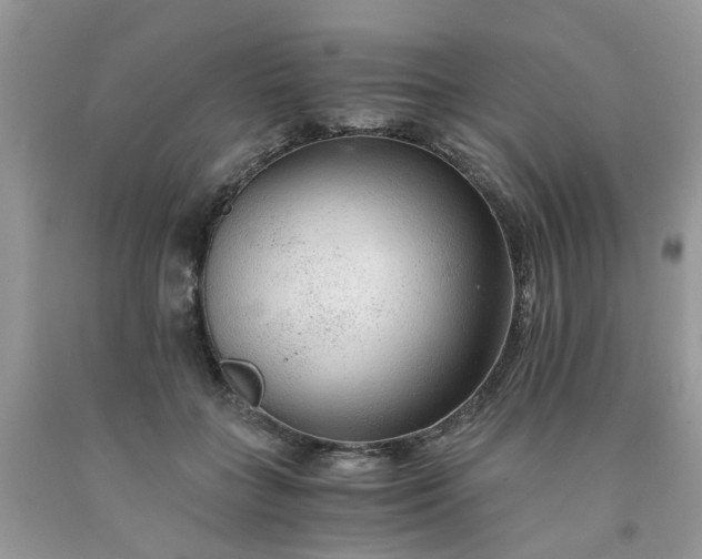 X0000091680555200709061106