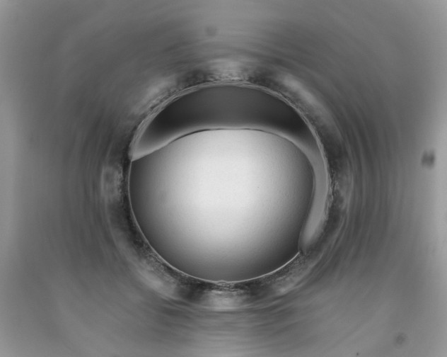 X0000091680556200709061106