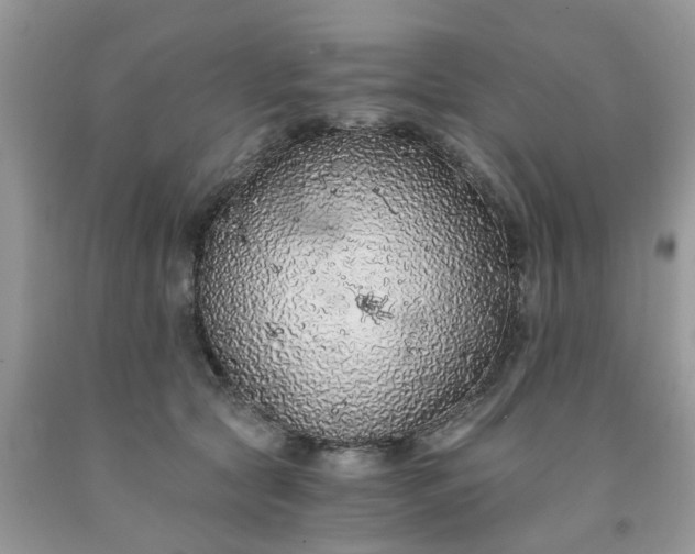 X0000091680561200709061107