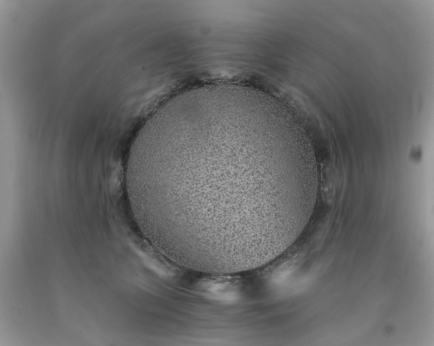 X0000091680563200709061107