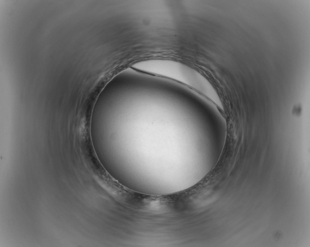 X0000091680564200709061107