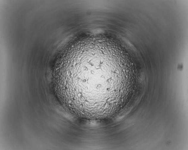 X0000091680565200709061107