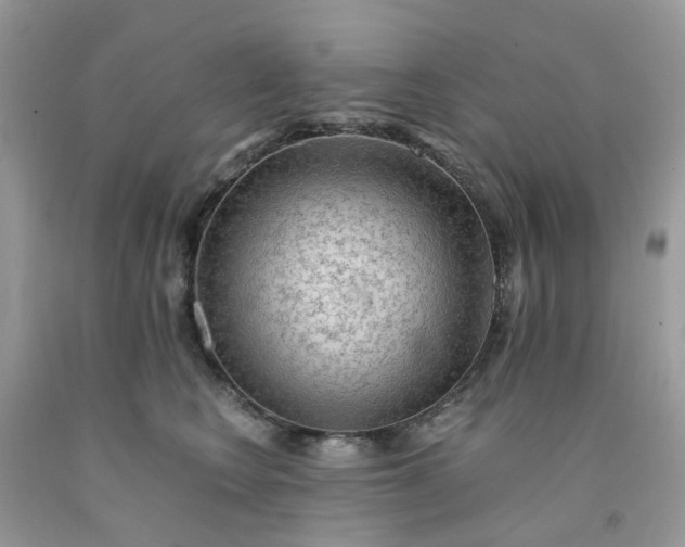 X0000091680566200709061107