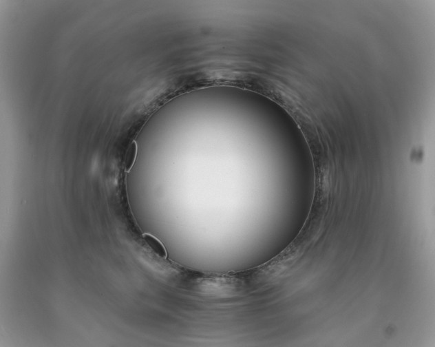 X0000091680567200709061107