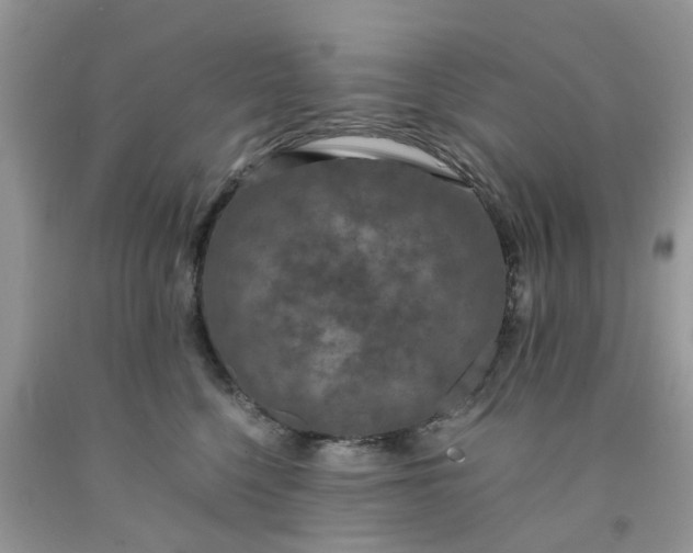 X0000091680568200709061107