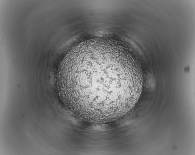 X0000091680569200709061107