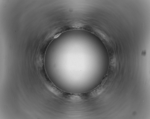 X0000091680572200709061107