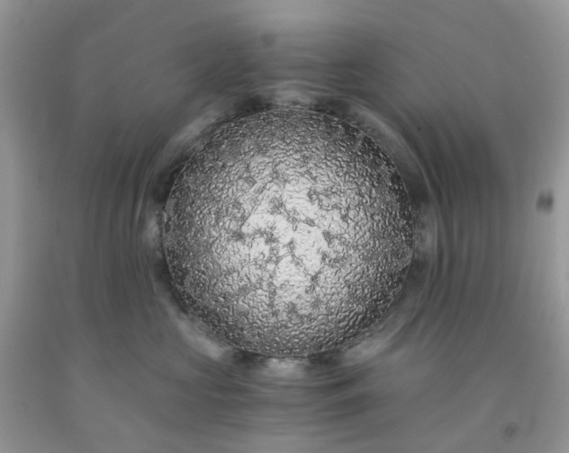 X0000091680573200709061107