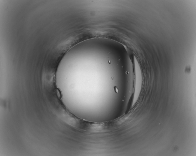 X0000091680574200709061107