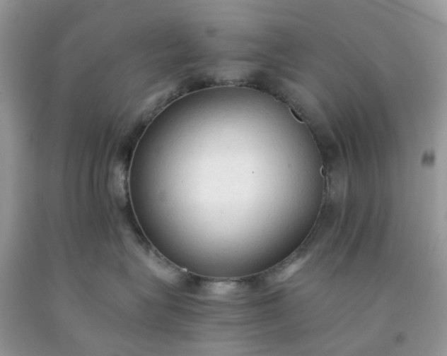 X0000091680575200709061107