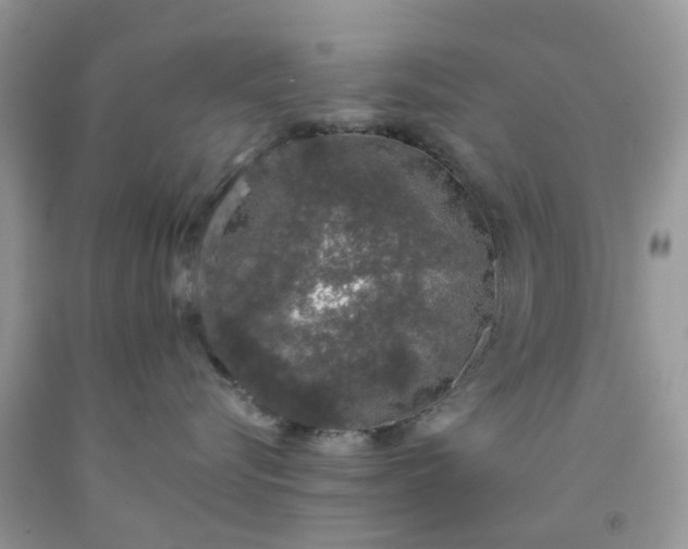 X0000091680576200709061107
