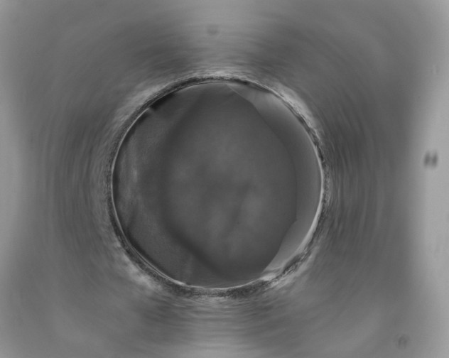 X0000091680577200709061106