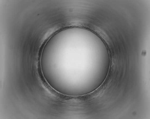 X0000091680578200709061106