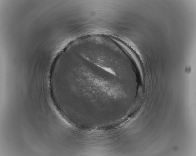 X0000091680581200709061106