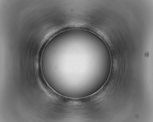 X0000091680582200709061106