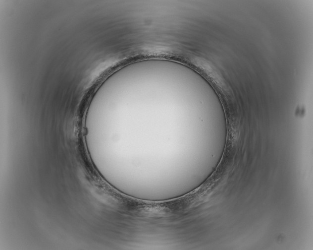 X0000091680583200709061106