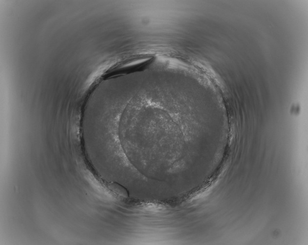 X0000091680585200709061106