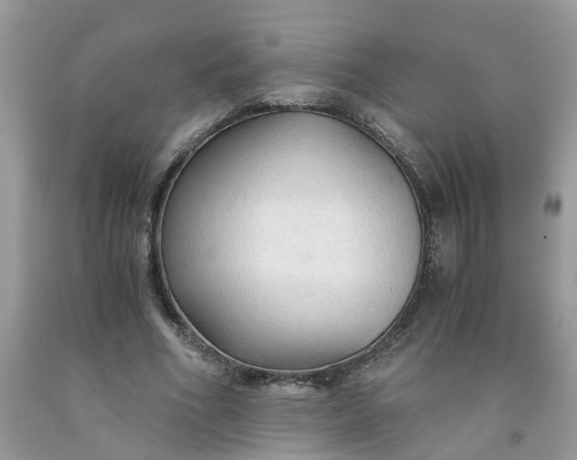 X0000091680586200709061106