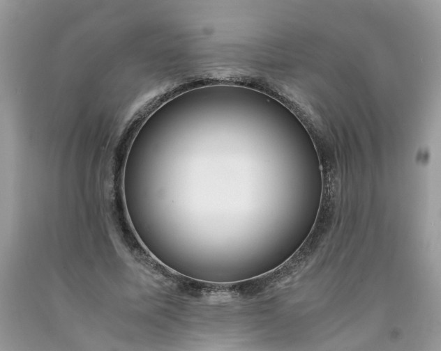 X0000091680587200709061106