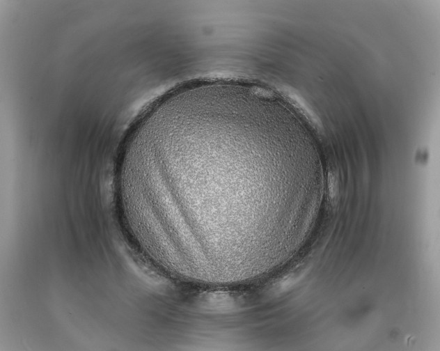 X0000091680588200709061106