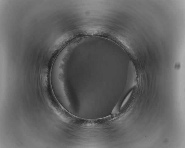 X0000091680590200709061106
