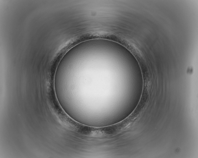 X0000091680591200709061106