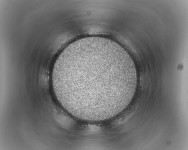 X0000091680592200709061106