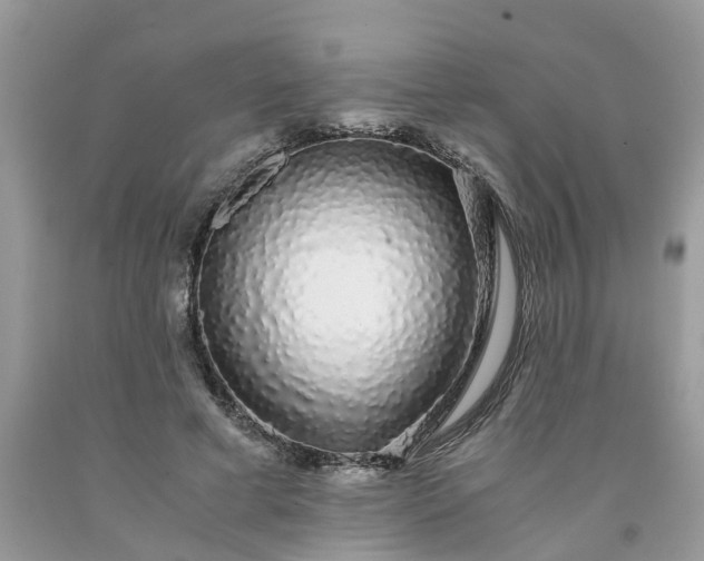 X0000091680593200709061106