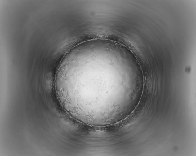 X0000091680594200709061106