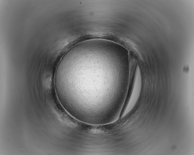X0000091680596200709061106